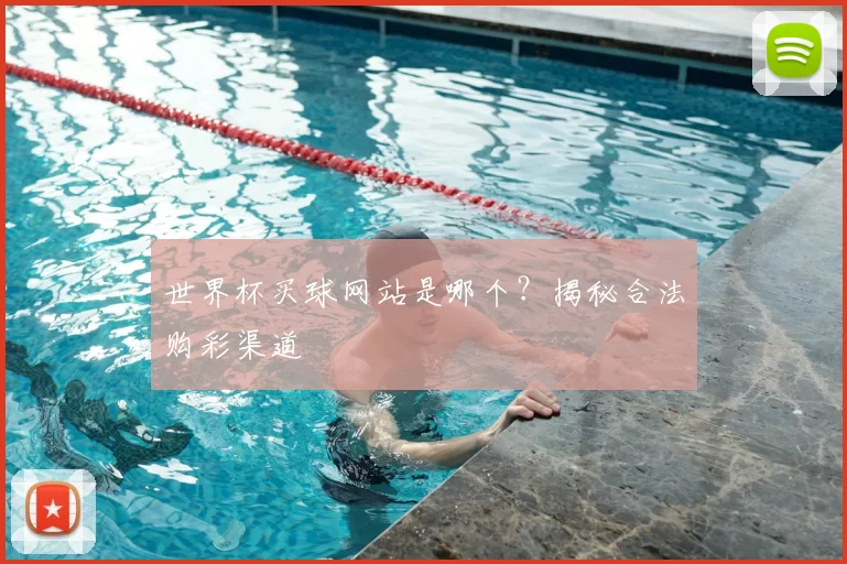 世界杯买球网站是哪个?揭秘合法购彩渠道