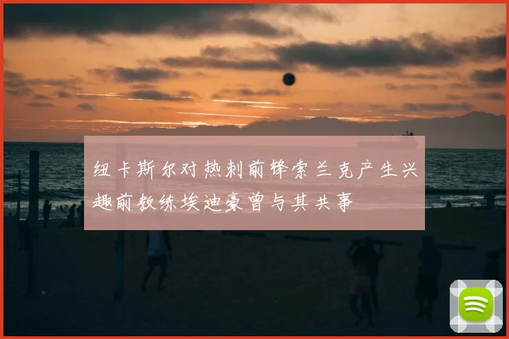 纽卡斯尔对热刺前锋索兰克产生兴趣前教练埃迪豪曾与其共事