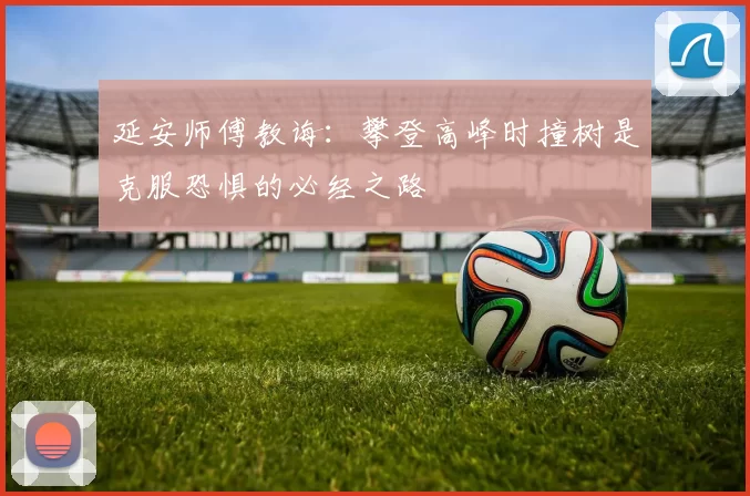 延安师傅教诲：攀登高峰时撞树是克服恐惧的必经之路