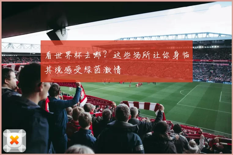看世界杯去哪？这些场所让你身临其境感受绿茵激情