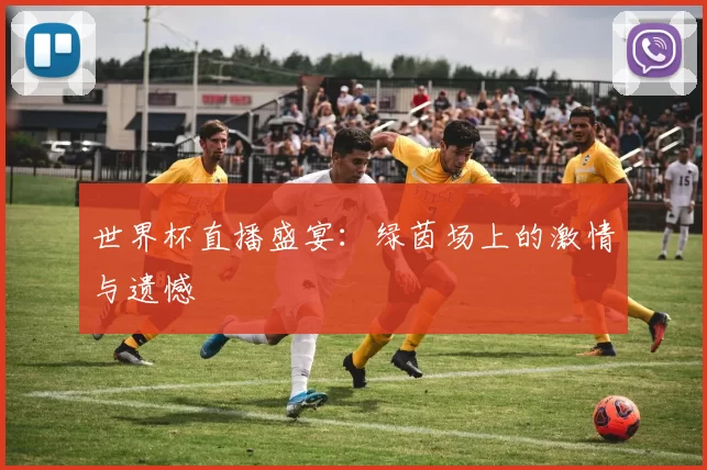 世界杯直播盛宴：绿茵场上的激情与遗憾