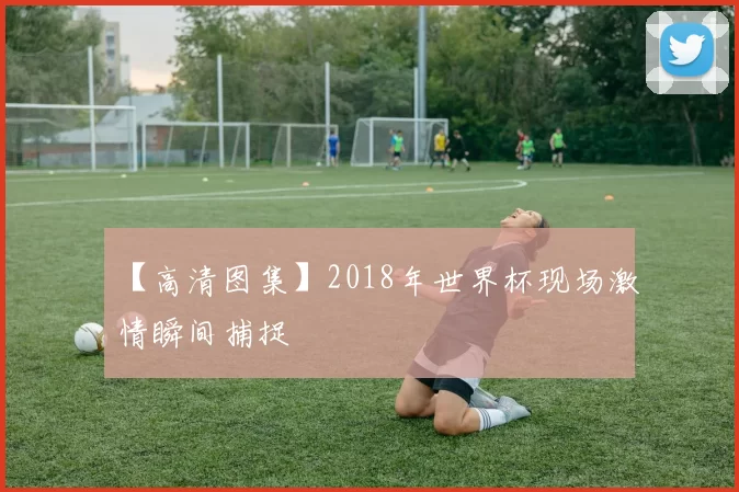 【高清图集】2018年世界杯现场激情瞬间捕捉