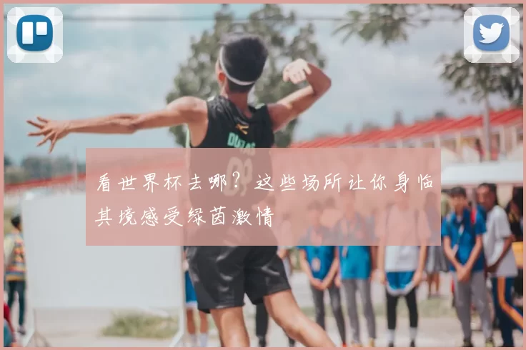 看世界杯去哪？这些场所让你身临其境感受绿茵激情