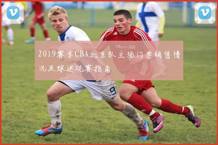 2019赛季CBA北京队主场门票销售情况及球迷观赛指南