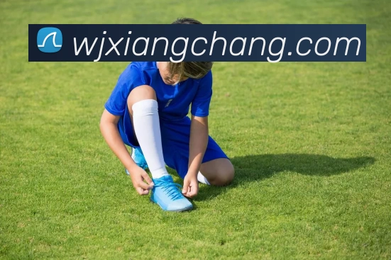奖项证书